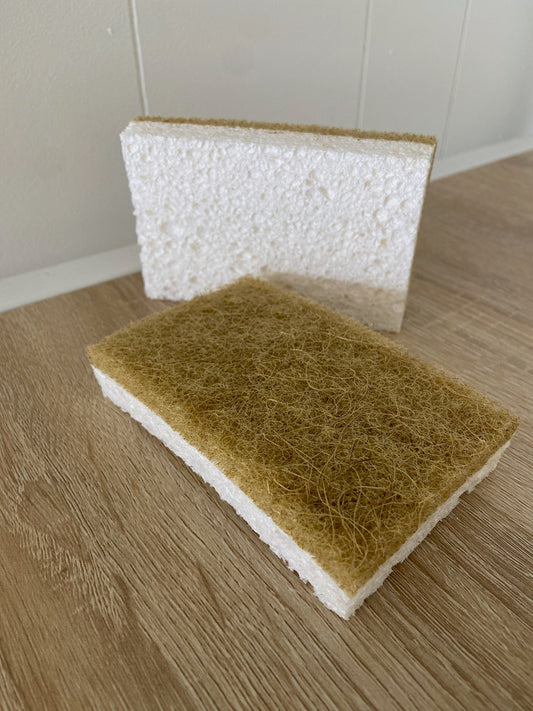 Biodegradable Sponge